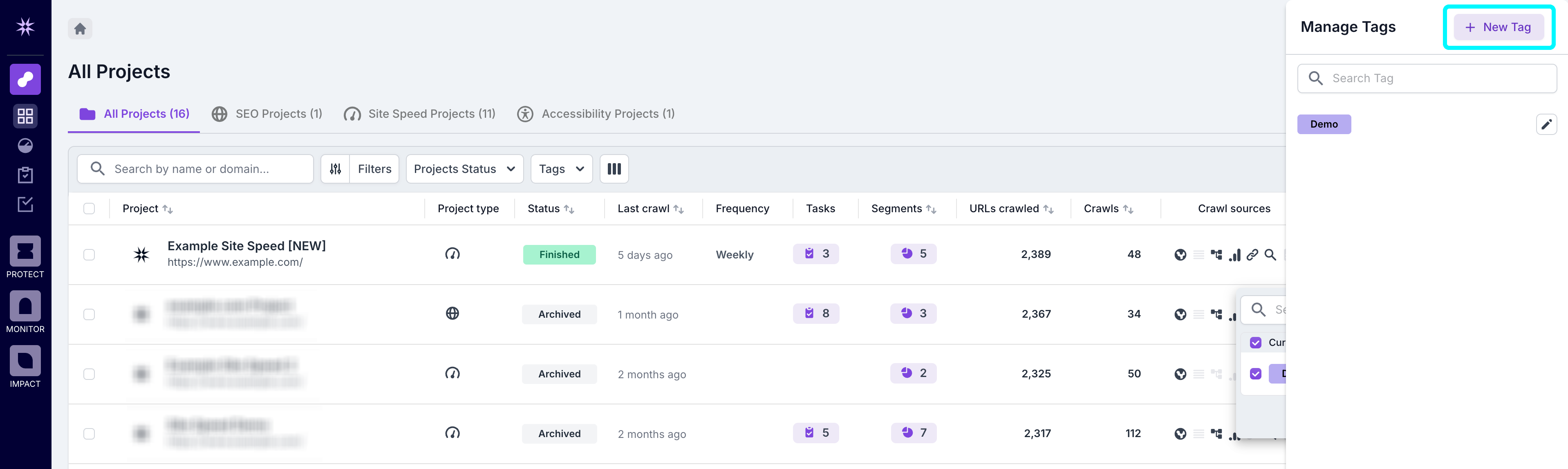 Screenshot of the tag management modal with the new tag button highlighted.